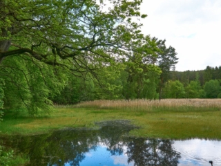Steinkreis08