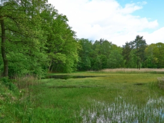 Steinkreis10