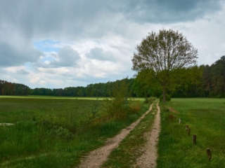 Steinkreis13