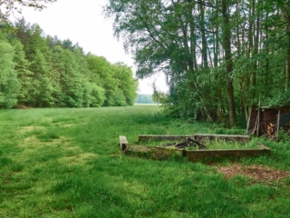 Steinkreis14