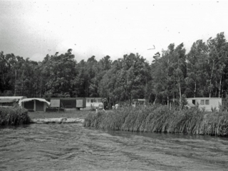 Waldbad 1