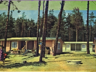 Waldbad 12