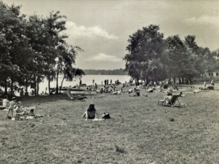 Waldbad 14