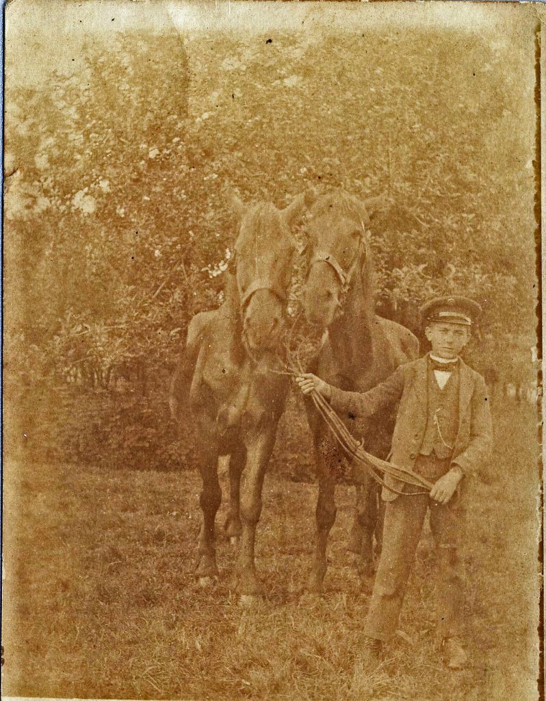 Nicolaus Reinhard mit Pferden 1920