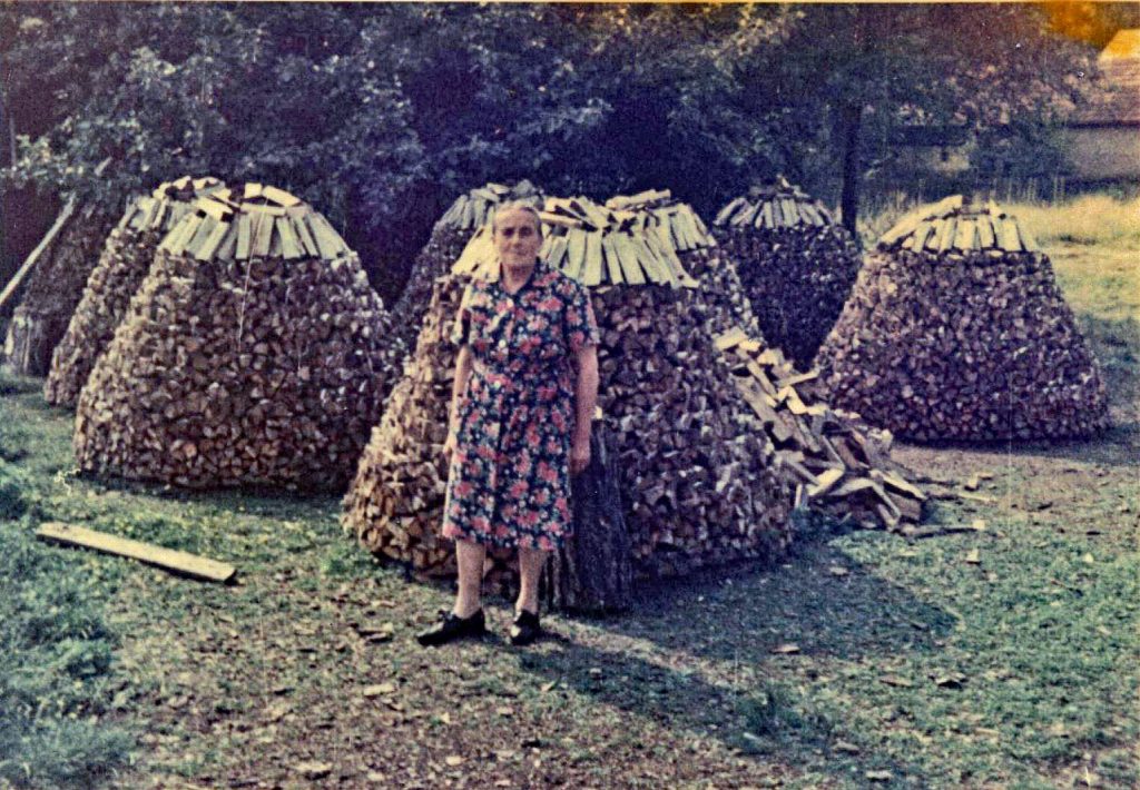 Agnes Nicolaus an selber gesetzter Holzfeime  Frühjahr 1972