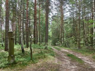 Panschwitz19