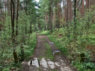 Panschwitz20