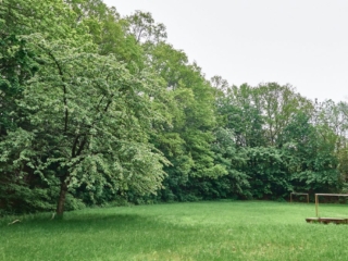 Panschwitz29
