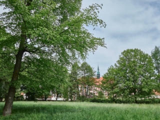 Panschwitz31