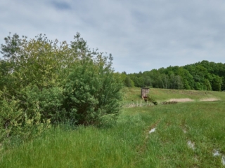 Panschwitz36