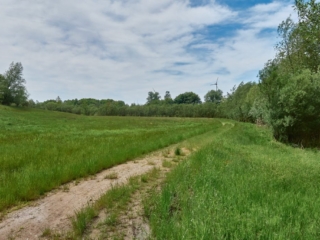Panschwitz37